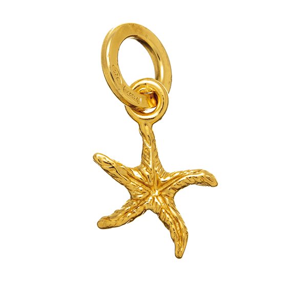 Charm Giovanni Raspini Donna in Argento 08565 - 08565